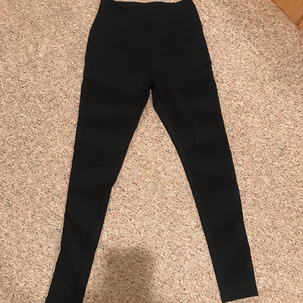 Buff Bunny Sheer Leggings